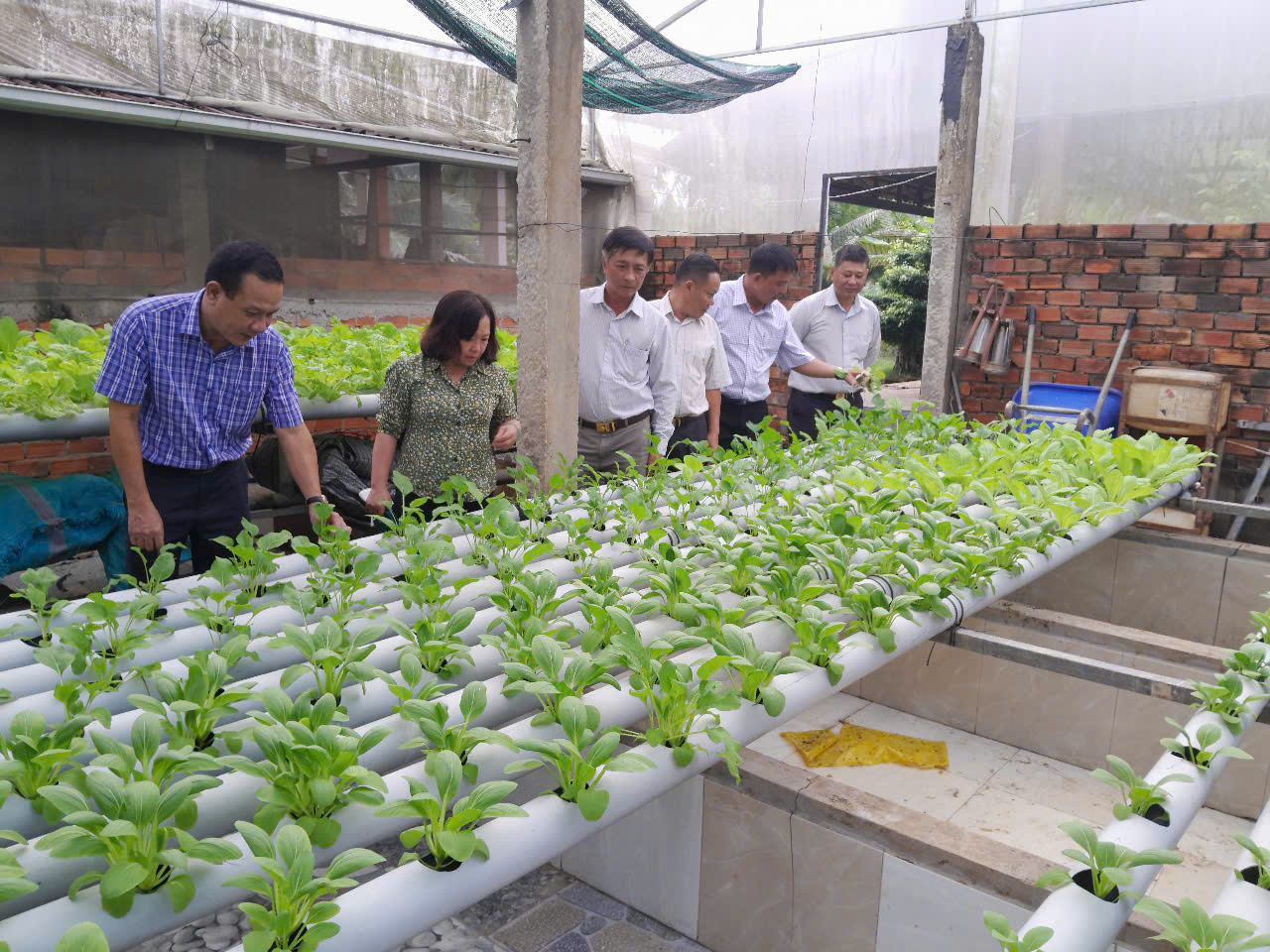 Lãnh đạo xã đi công tác cơ sở, thăm các mô hình phát triển kinh tế trên địa bàn xã Lương Hòa